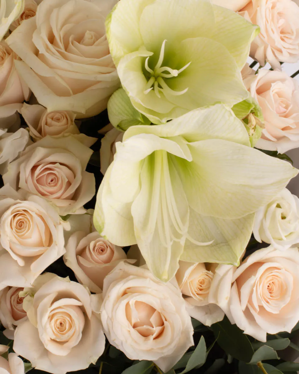 WHITE IMPRESSIVE CLOSEUP