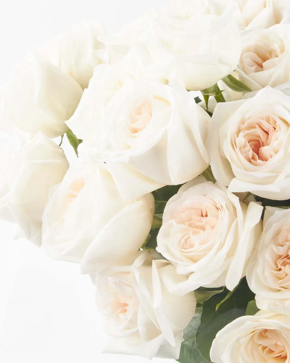 White O hara love JUNE 20 2023