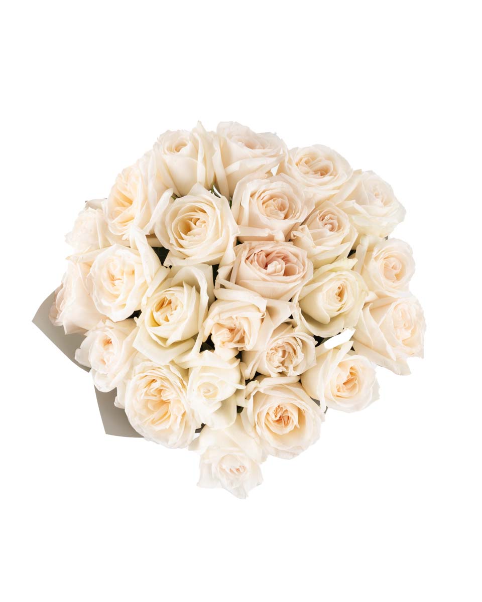 White O hara superb JUNE 12, 2023 top White O hara superb JUNE 12, 2023 top