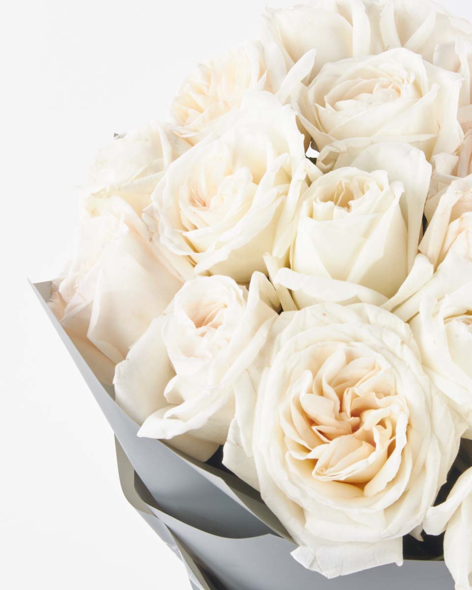 White O hara superb JUNE 12, 2023 White O hara superb JUNE 12, 2023