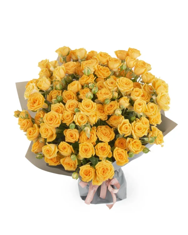 YELLOW BABE IMPRESSIVE JUNE 6 2023 7 1