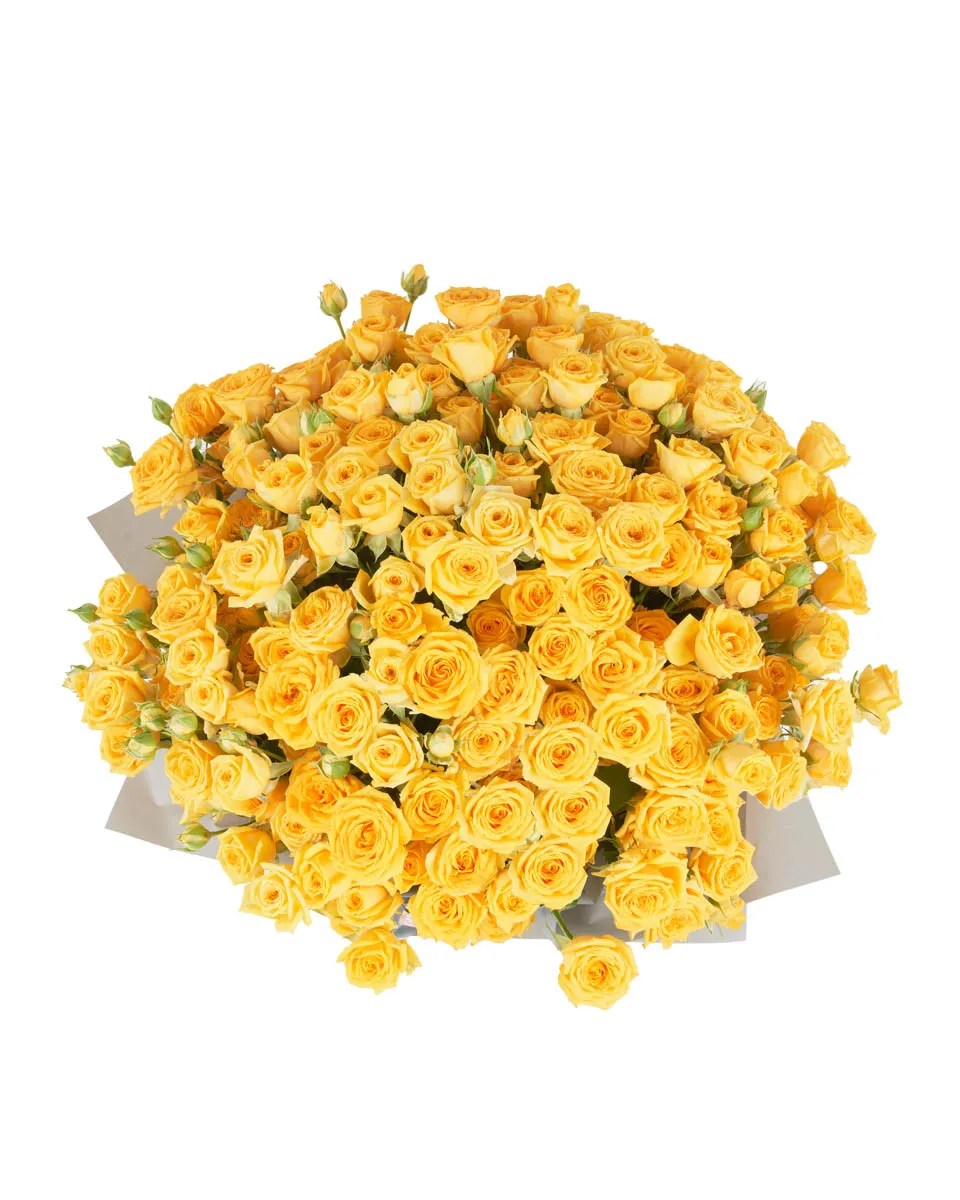 YELLOW BABE SUPERB JUNE 5 2023 14 1 YELLOW BABE SUPERB JUNE 5 2023 14 1