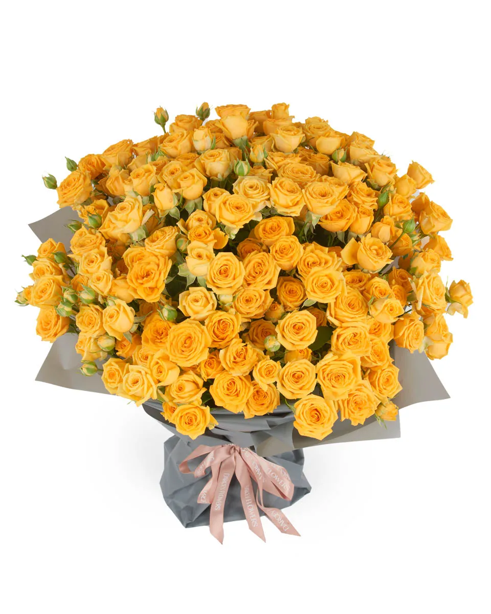 YELLOW BABE SUPERB JUNE 5 2023 14 YELLOW BABE SUPERB JUNE 5 2023 14