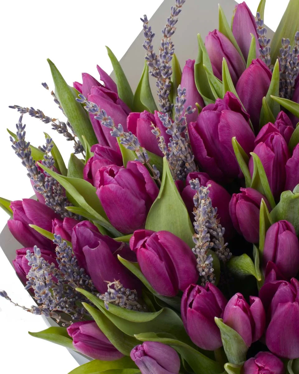 You Are My LavendIMG 1357 You Are My LavendIMG 1357