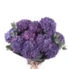 deep purple hydrabgea impressive