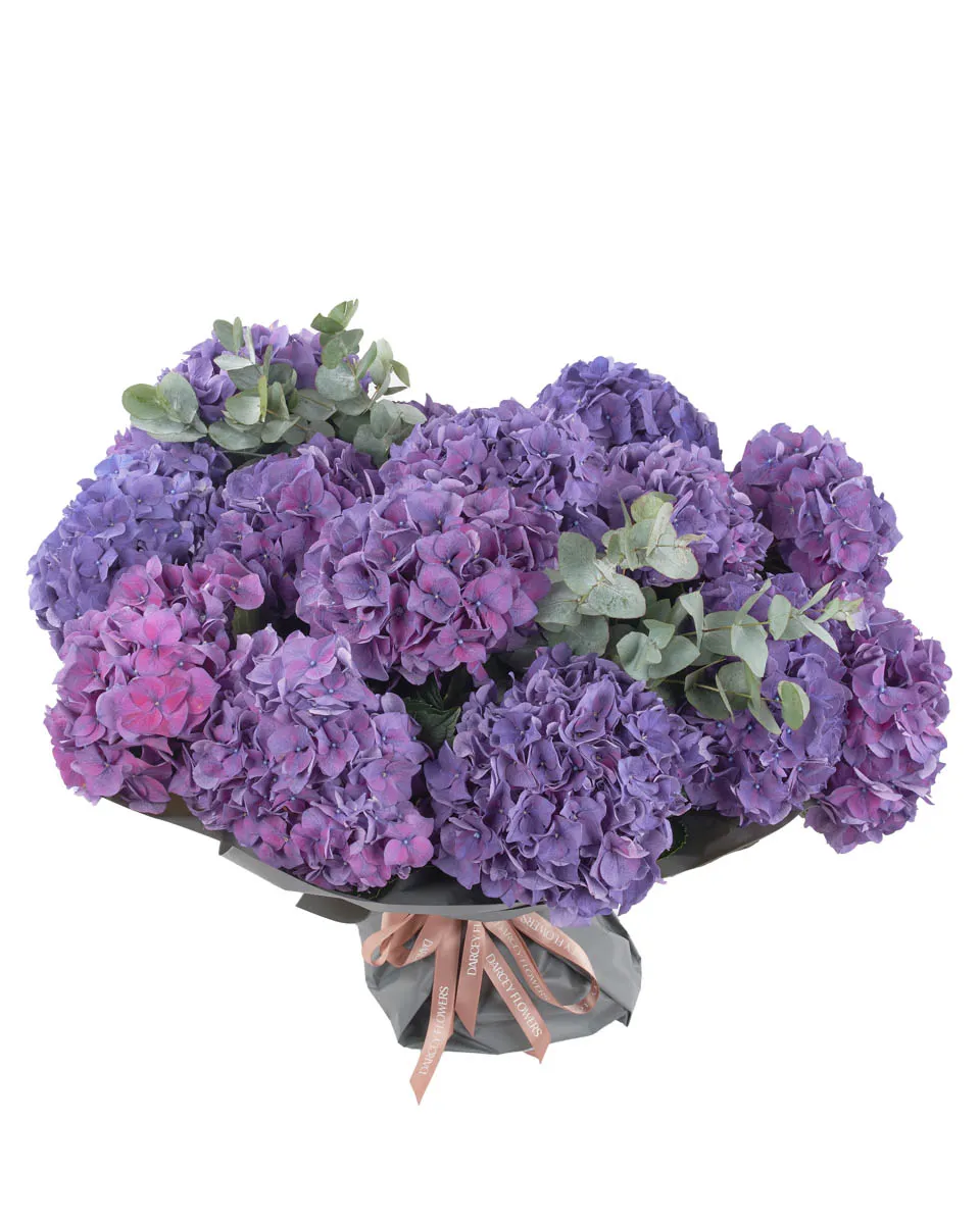 deep purple hydrangea superb deep purple hydrangea superb