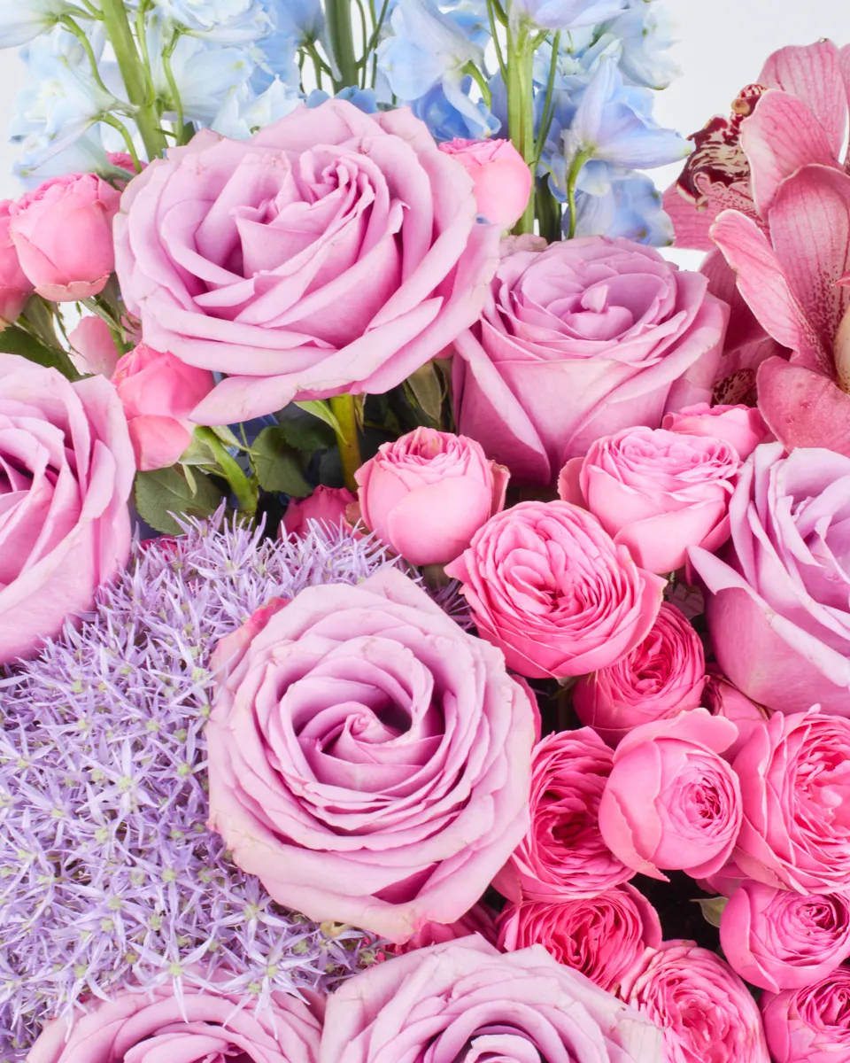 fatimas dream superb detailed 1 fatimas dream superb detailed 1