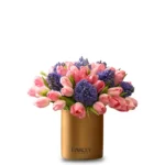 fresh start Edited 1