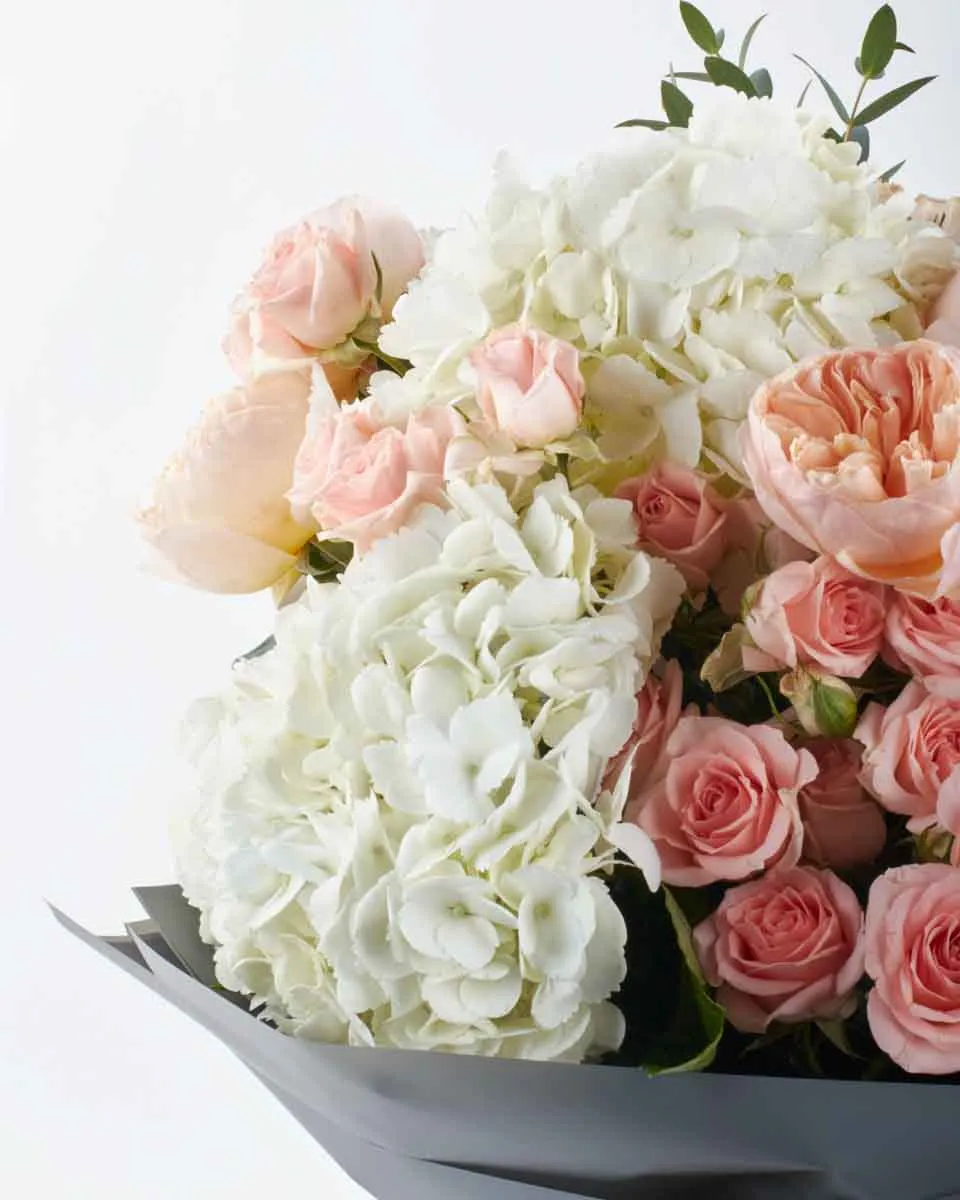 full glow IMPRESSIVE JUNE 10 2023 1