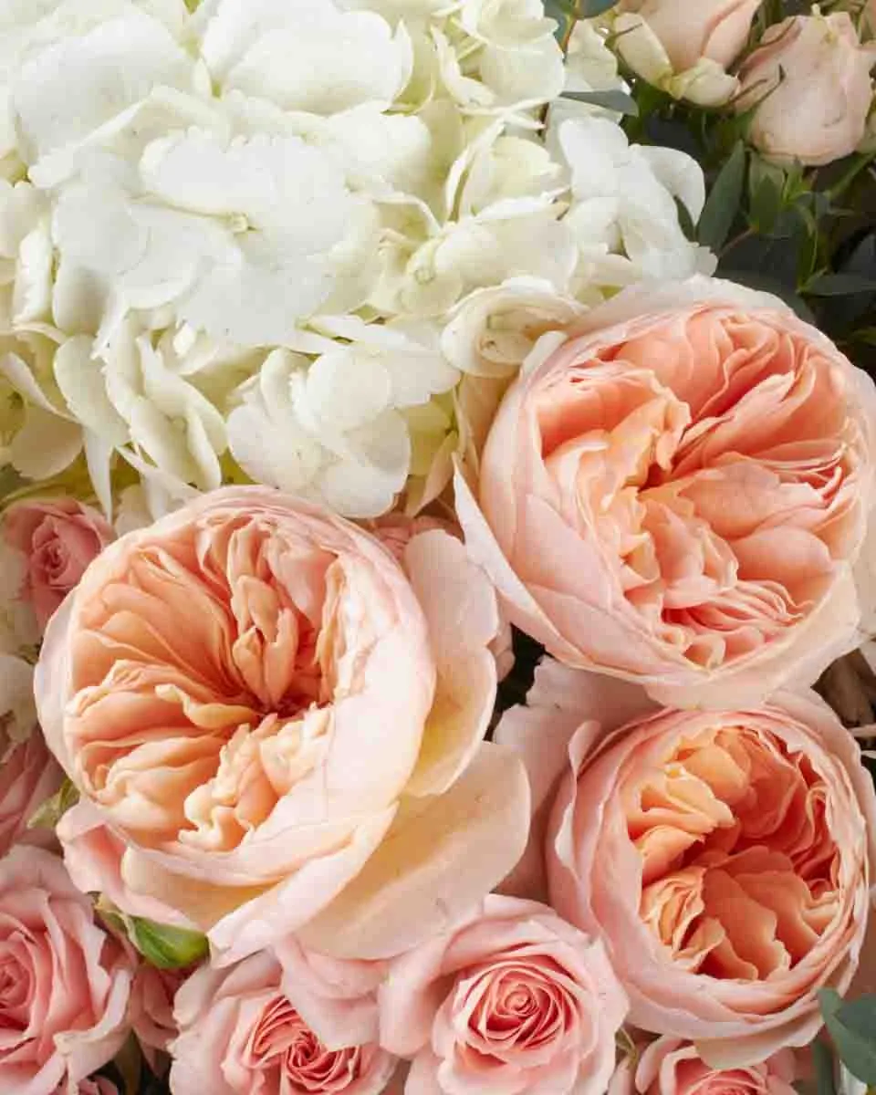 full glow IMPRESSIVE JUNE 10 2023 2