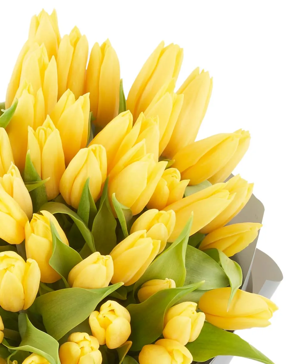hey yellow detailed hey yellow detailed