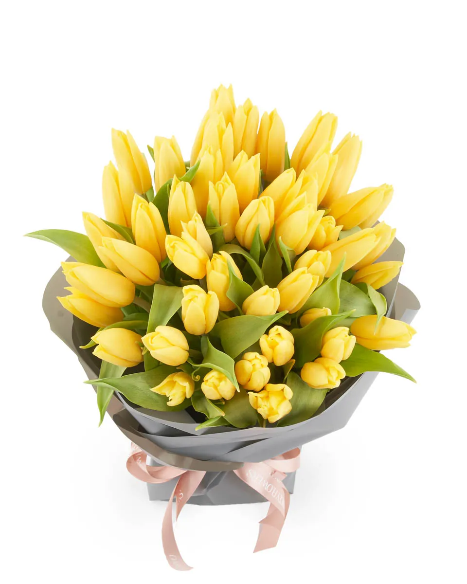 hey yellow hey yellow