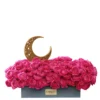 julieta cerise with moon medium reshoot