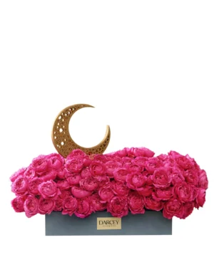 julieta cerise with moon medium reshoot