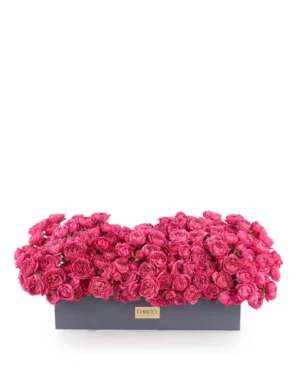 julieta cerise Medium NoMoon