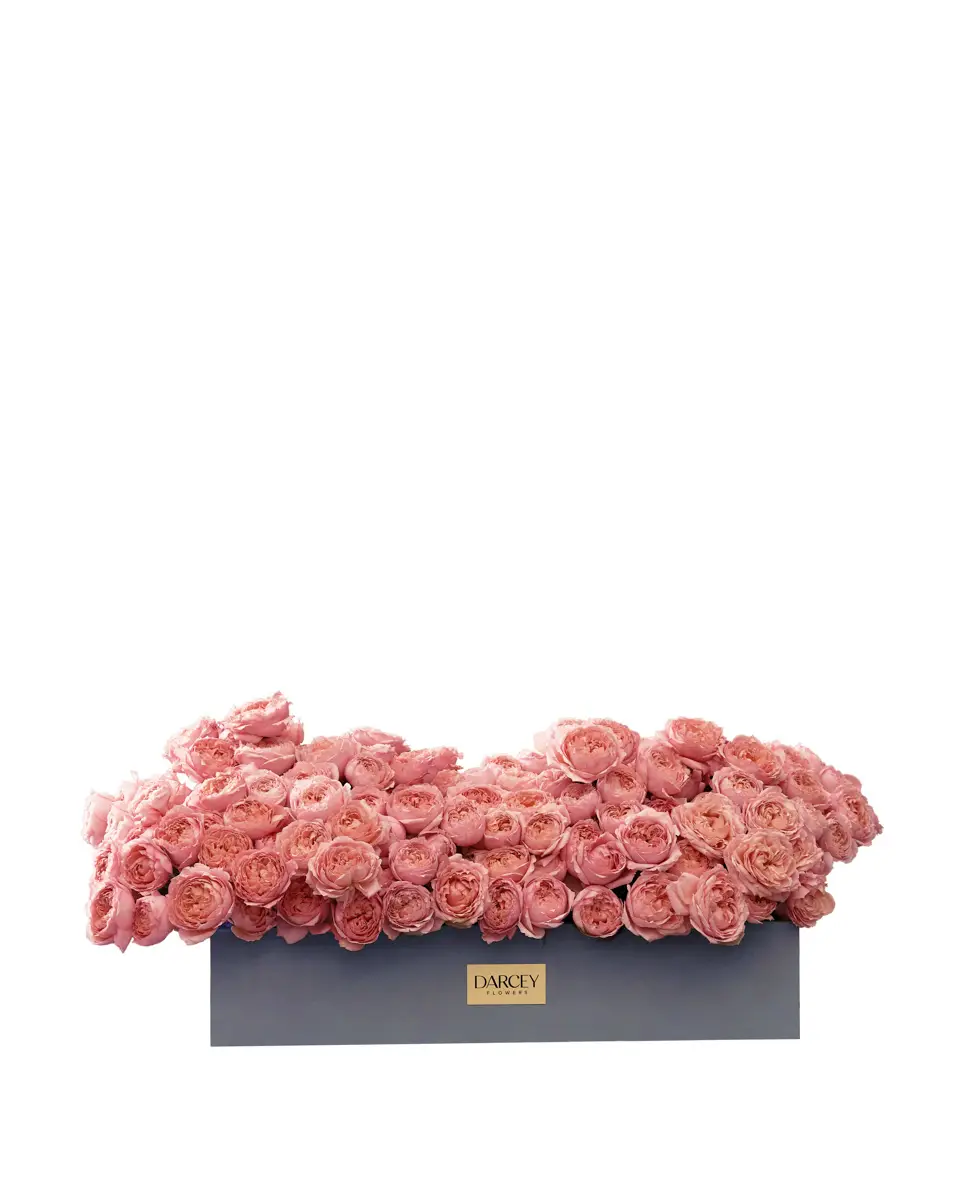 julieta salmon blooms large reshoot NoMoon julieta salmon blooms large reshoot NoMoon