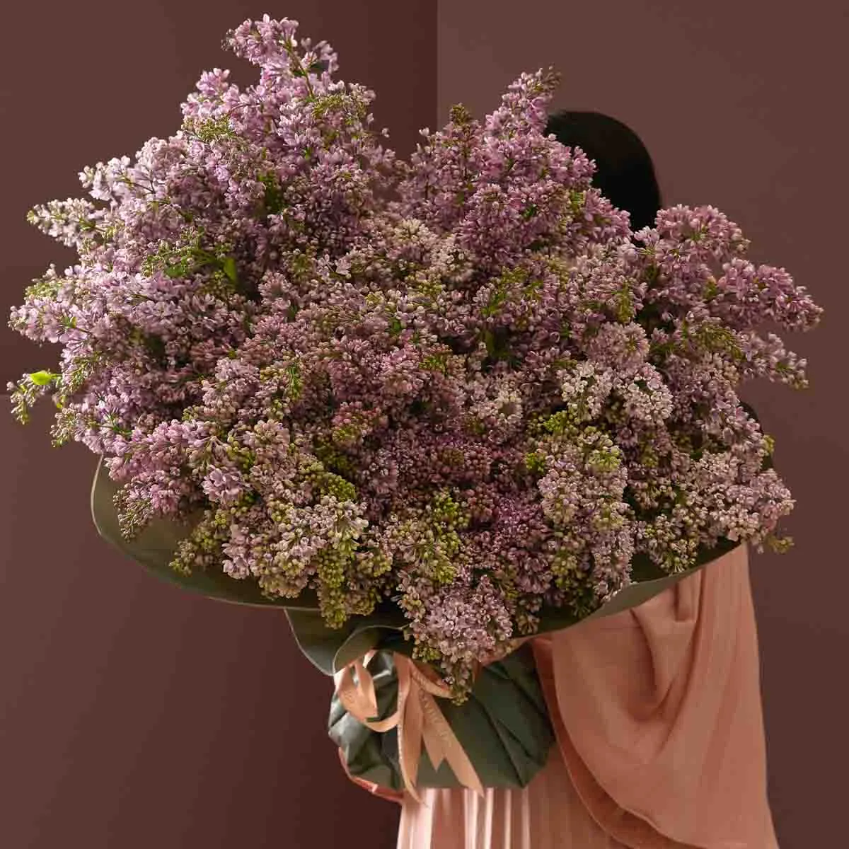lilac dream lilac dream