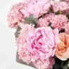 love and affection JUNE 8 2023