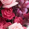 mahra superb JUNE 13 2023 2 mahra superb JUNE 13 2023 2