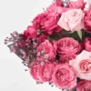 mahra superb JUNE 13 2023 3 mahra superb JUNE 13 2023 3