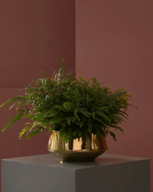 maidenhair fern on gold