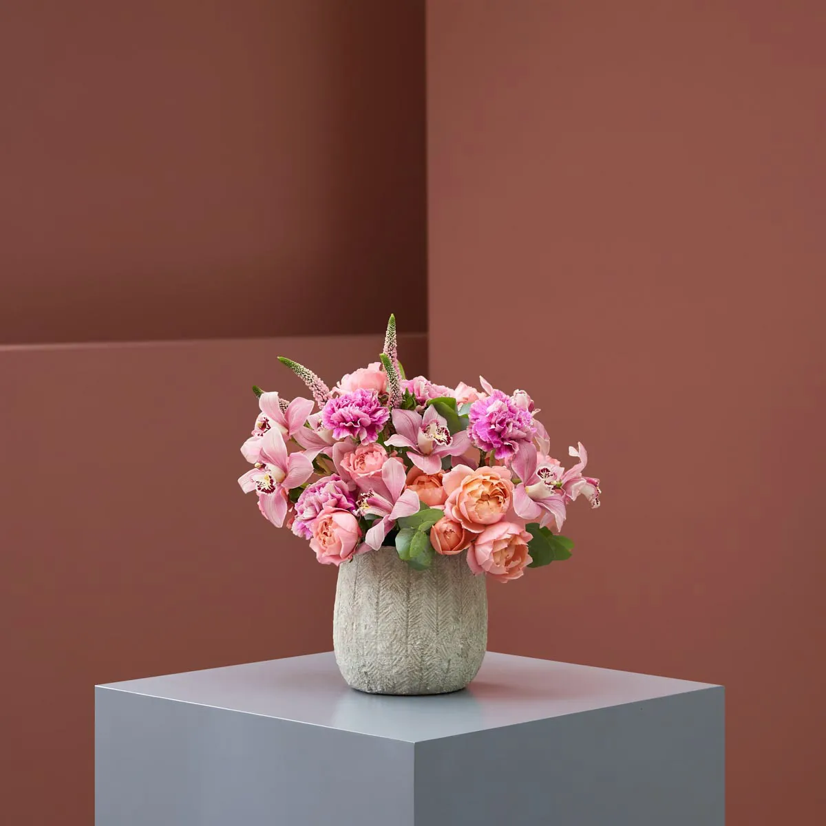 my veronica new vase my veronica new vase