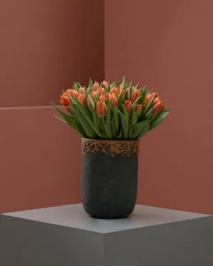 orange kiss on a vase 1