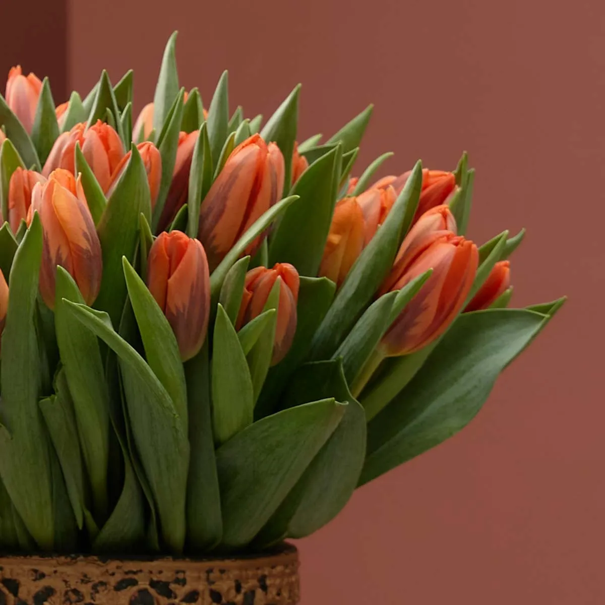 orange kiss on a vase detailed orange kiss on a vase detailed