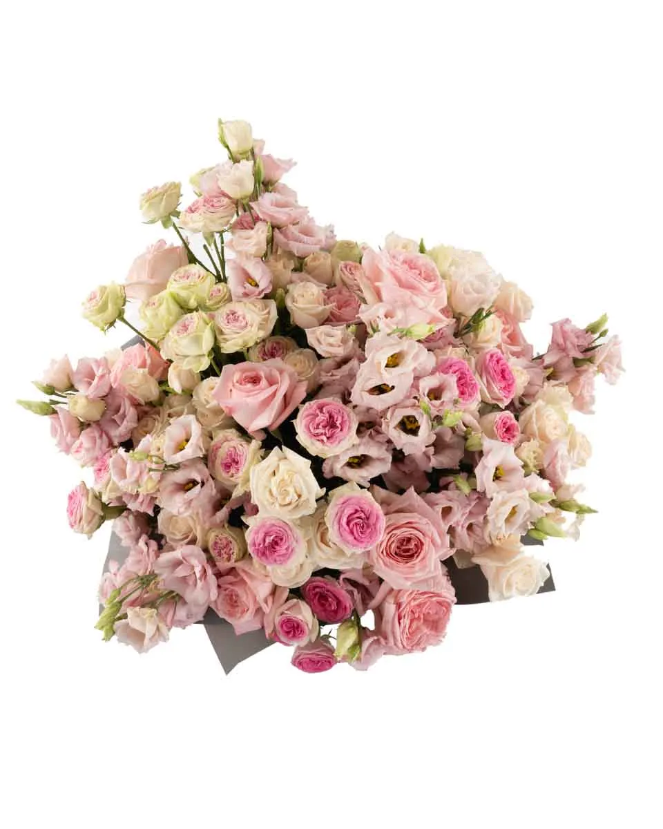 penelope superb JUNE 10 2023 1 top penelope superb JUNE 10 2023 1 top