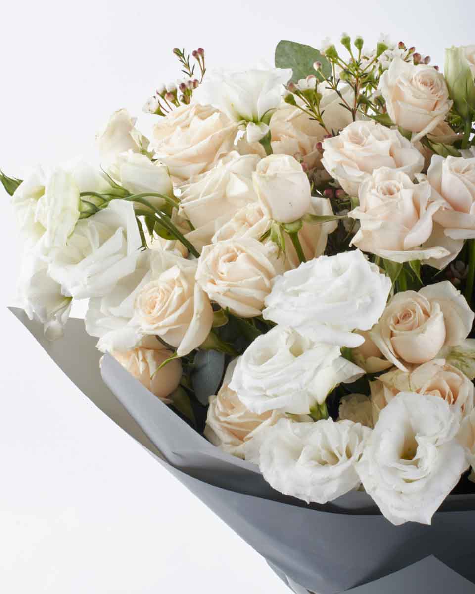 purity impressive JUNE 10, 2023 purity impressive JUNE 10, 2023