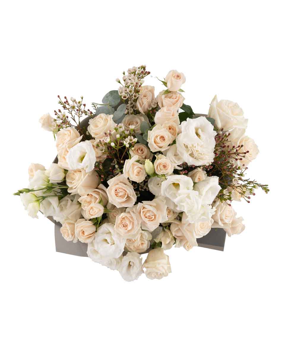purity impressive JUNE 10, 2023 top