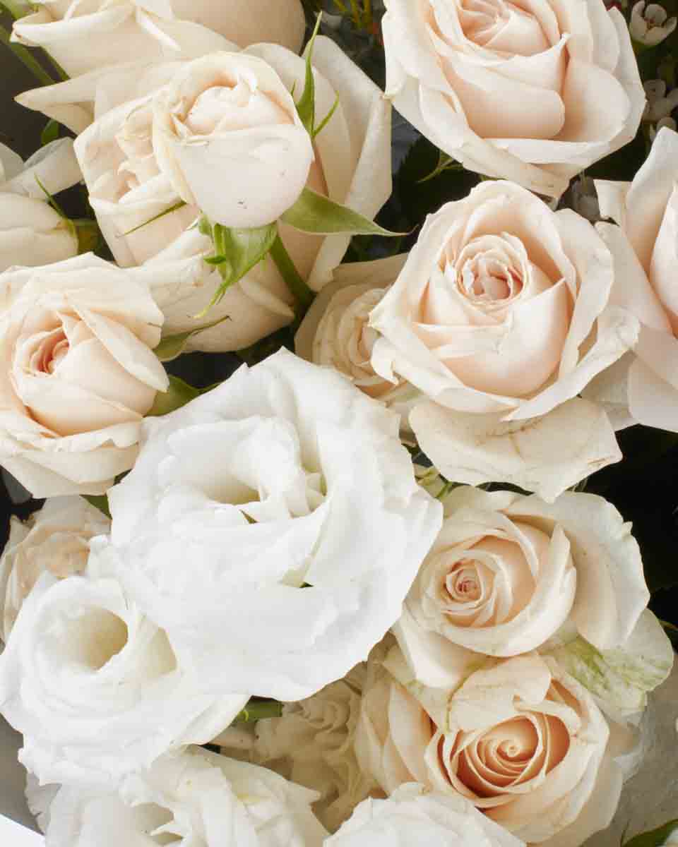 purity impressive JUNE 10, 2023 2 purity impressive JUNE 10, 2023 2