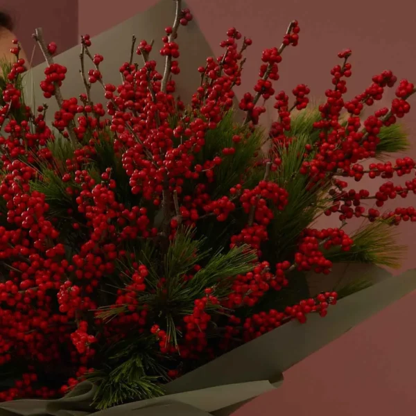 red holly detailed