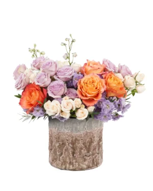 toasty marshmallow Edited