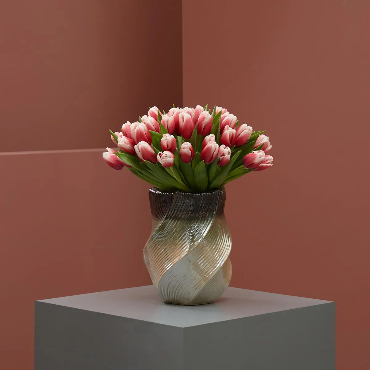 tulip kiss on a vase 1 tulip kiss on a vase 1