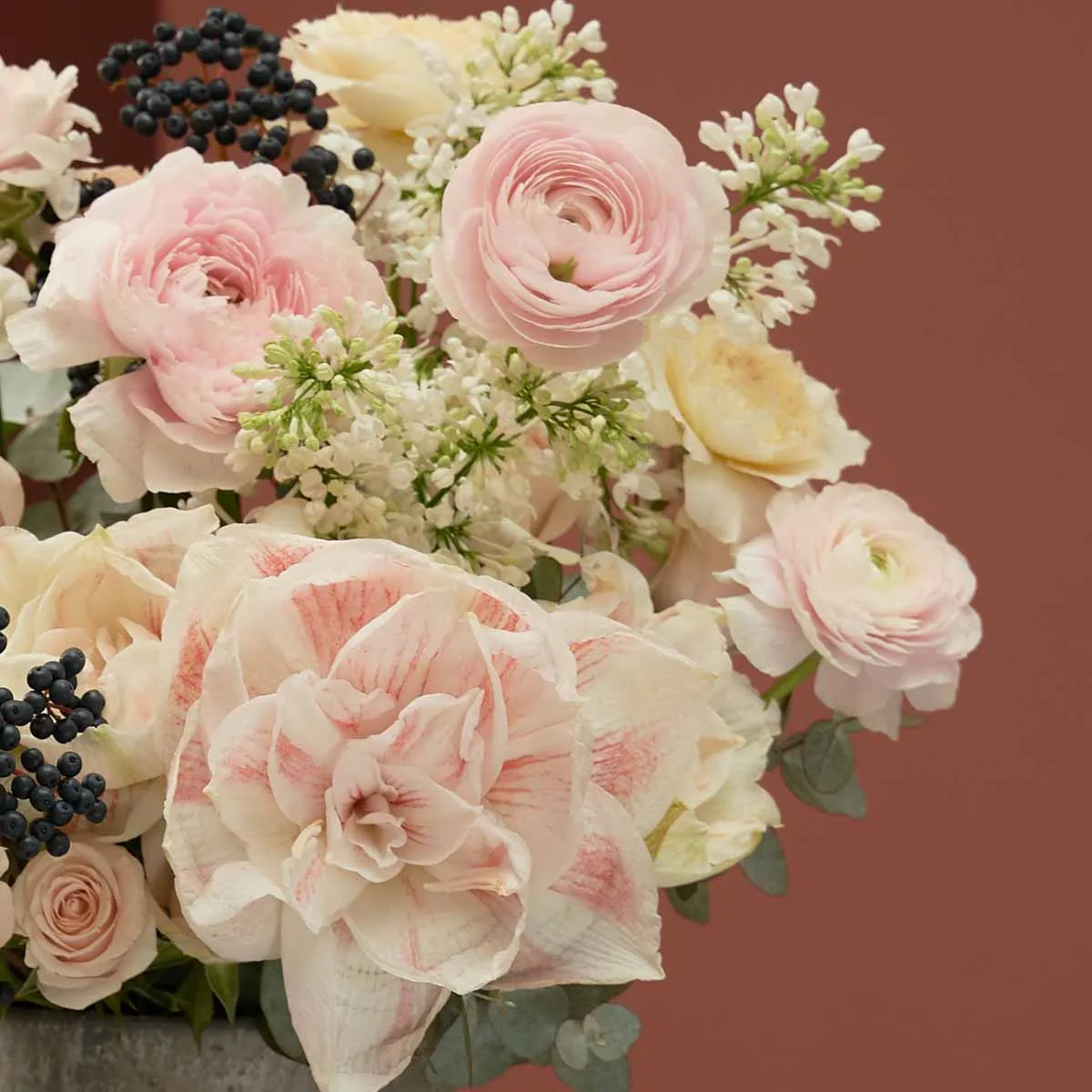 winter blooms detailed winter blooms detailed