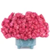 your love cerise your love cerise