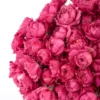 your love cerise detailed 1 your love cerise detailed 1