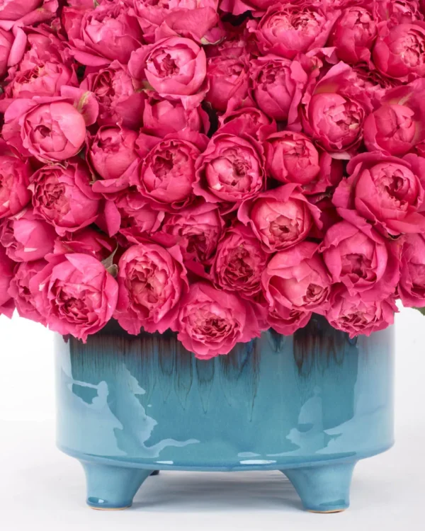 your love cerise detailed 3