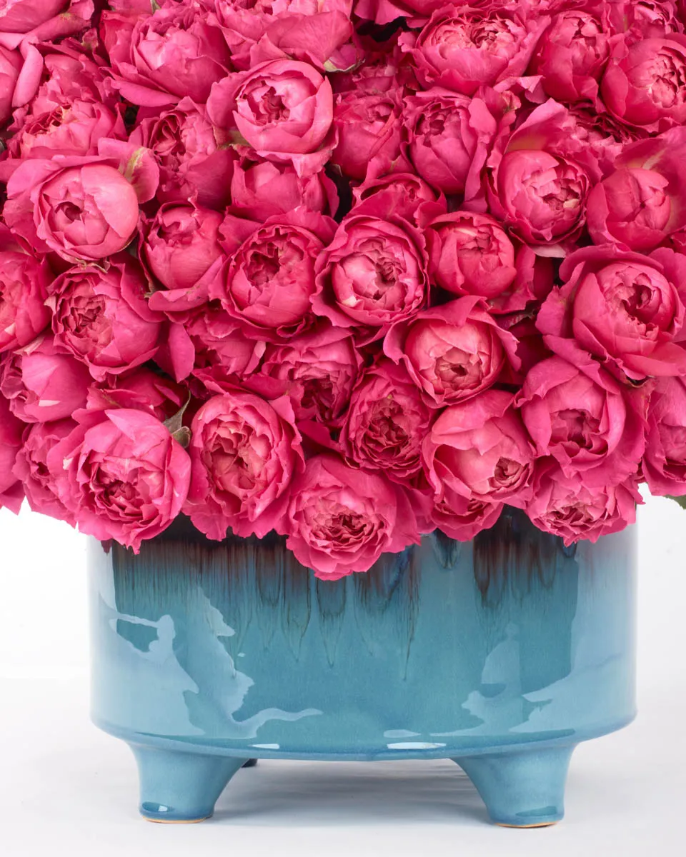 your love cerise detailed 3 your love cerise detailed 3