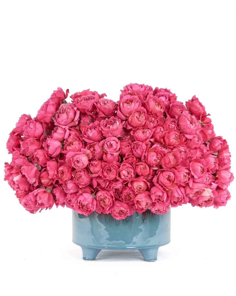 your love cerise your love cerise