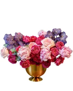 ALWAYS THE FAVORITE ReShoot