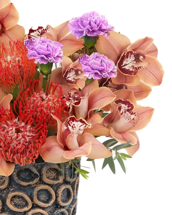 Cymbidium Allure Left