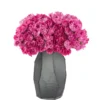 Magenta Magic 2025 Magenta Magic 2025