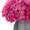 Magenta Magic 2025 2 Magenta Magic 2025 2