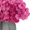 Magenta Magic 2025 3 Magenta Magic 2025 3