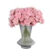 Pink Treat 2025 Pink Treat 2025
