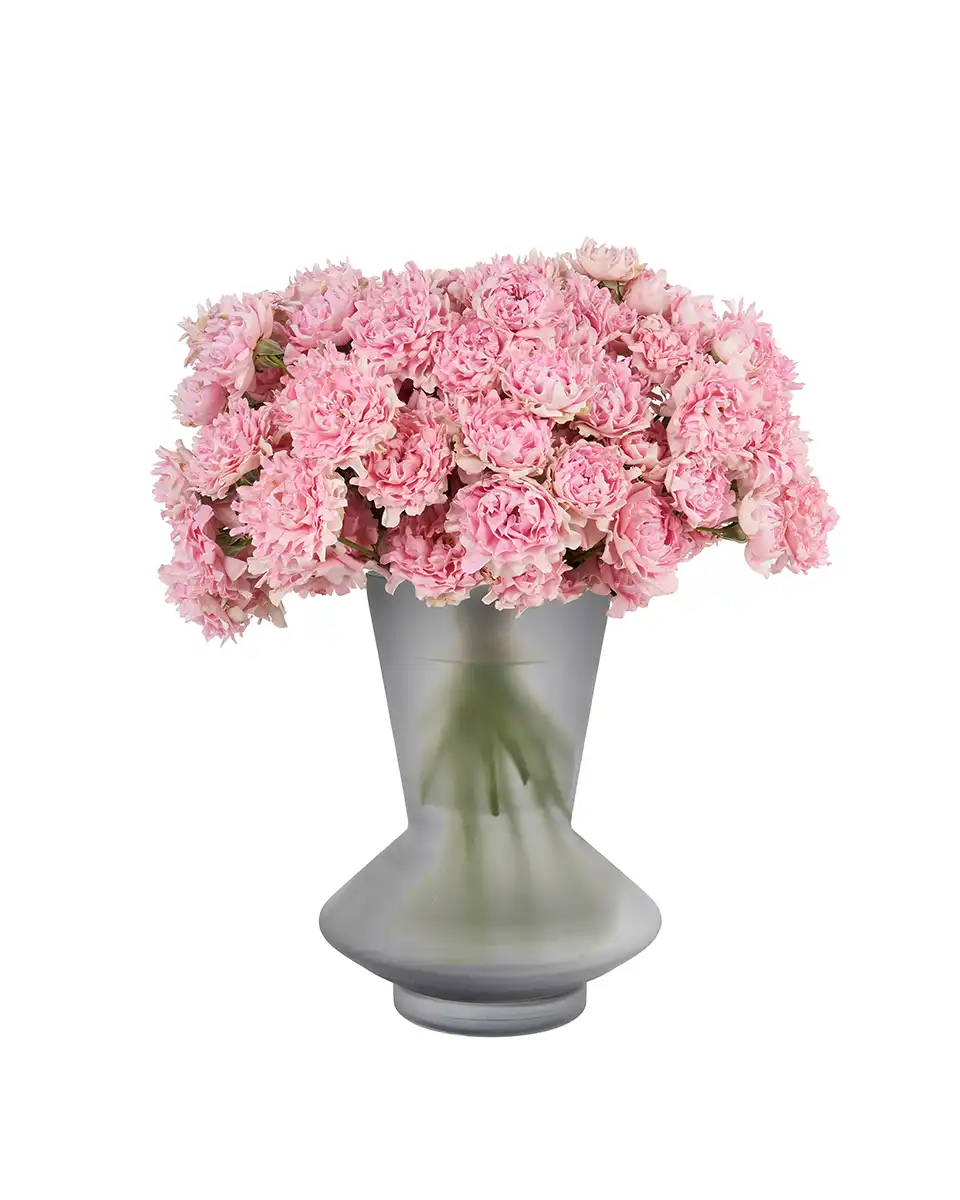 Pink Treat 2025 Pink Treat 2025