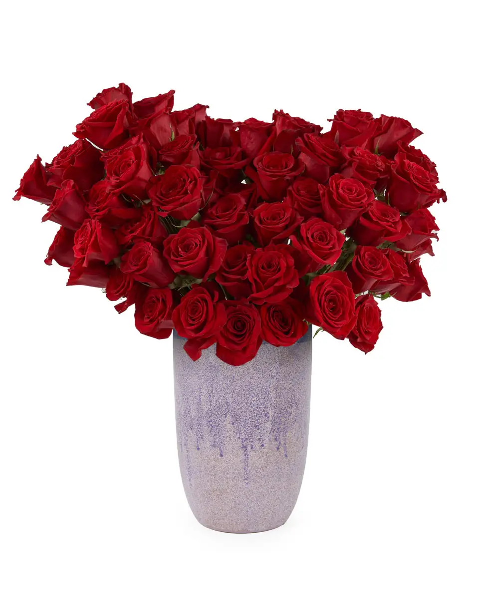 Roses For You EDITED Roses For You EDITED