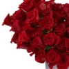 Roses For You EDITED2 Roses For You EDITED2